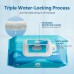 Natural Pet Grooming Wipes, 100 Fresh Counts, Extra Moist & Thick for Dogs & Cats, Puppies & Kittens Set of 2